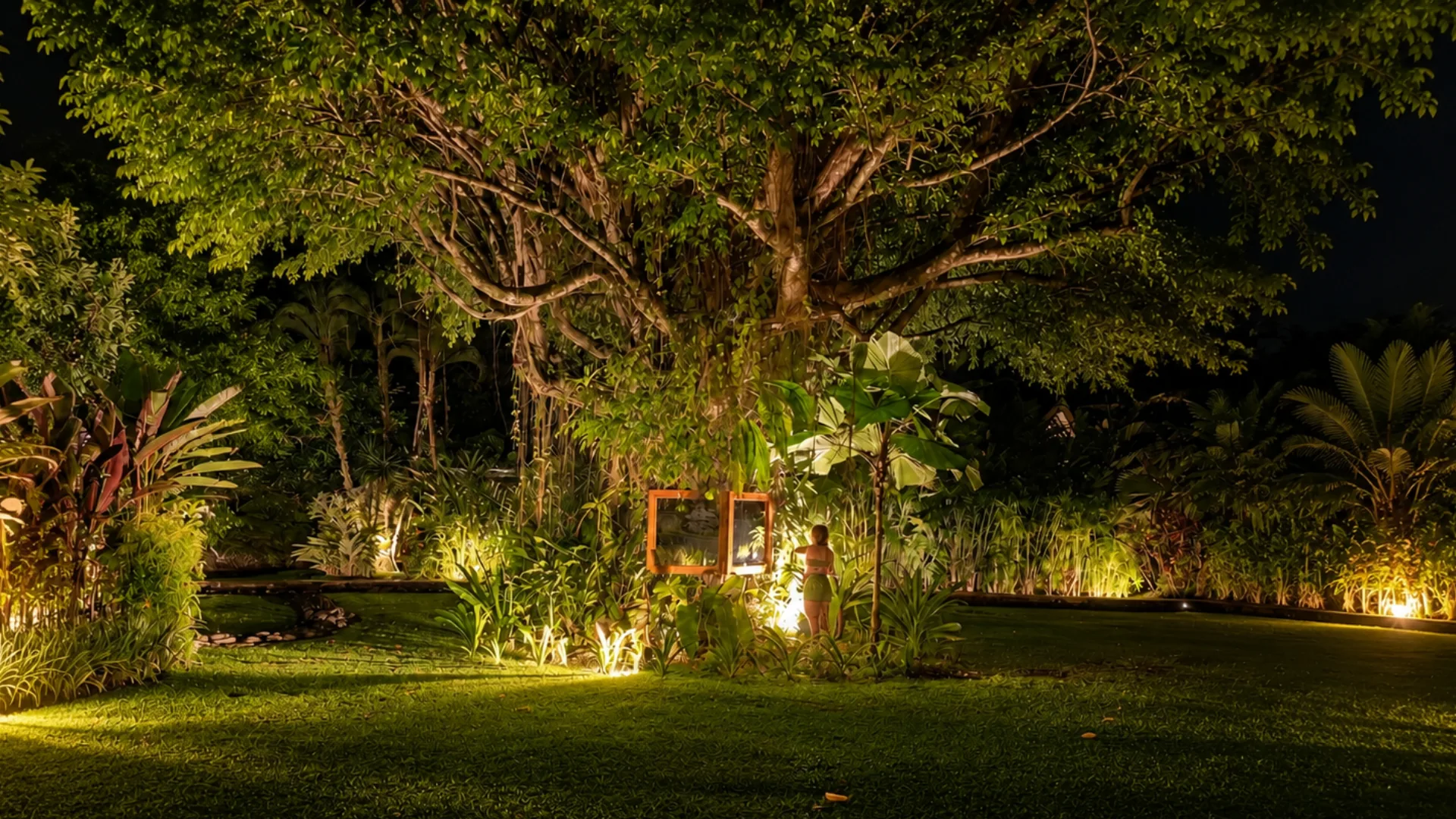 Gran árbol iluminado durante la noche en el jardín de Namú